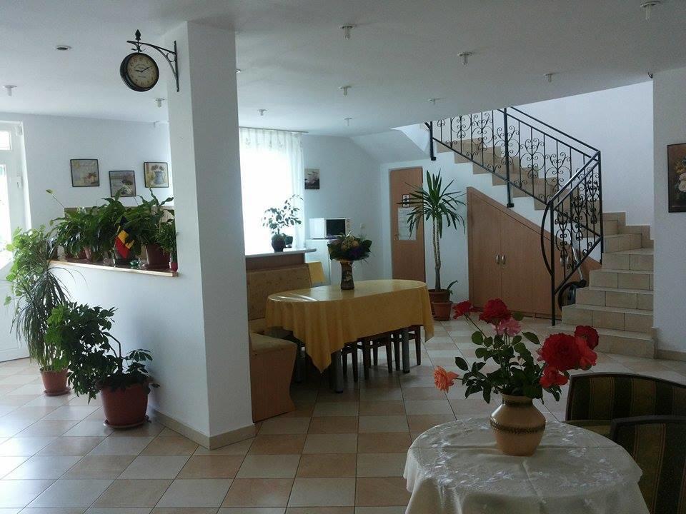 Pensiunea Coca Băile Felix Esterno foto